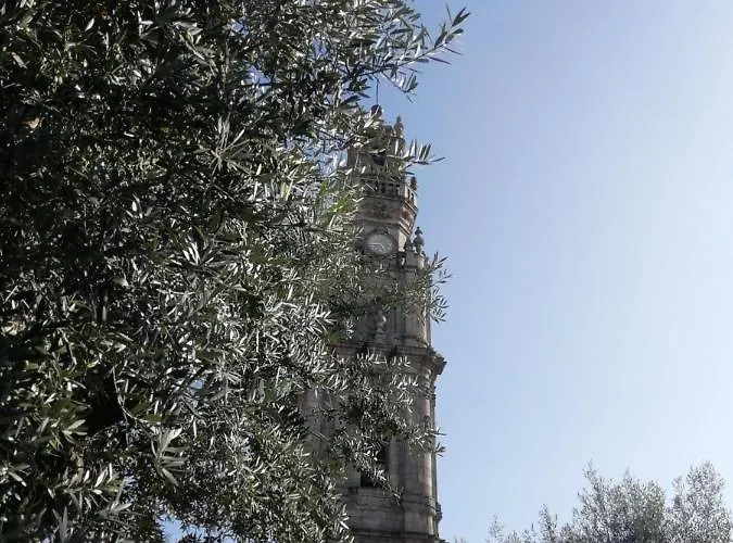 Luxury Anibal Cunha アパート