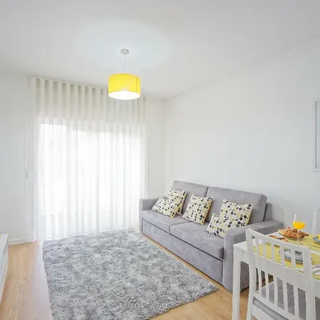 Luxury Anibal Cunha Apartment Porto