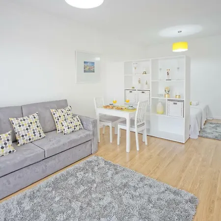 Apartament Luxury Anibal Cunha Porto